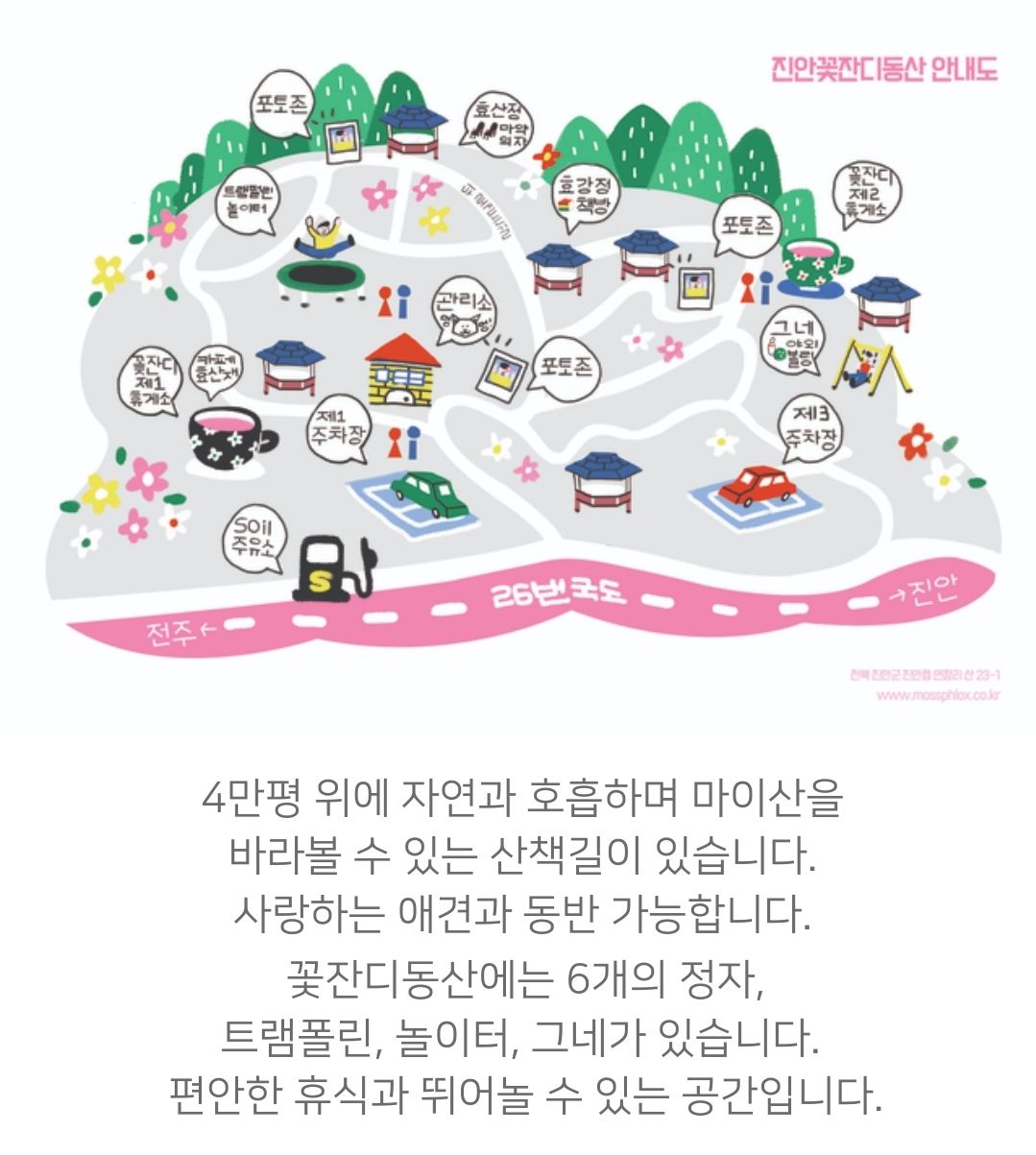 진안 꽃잔디 동산