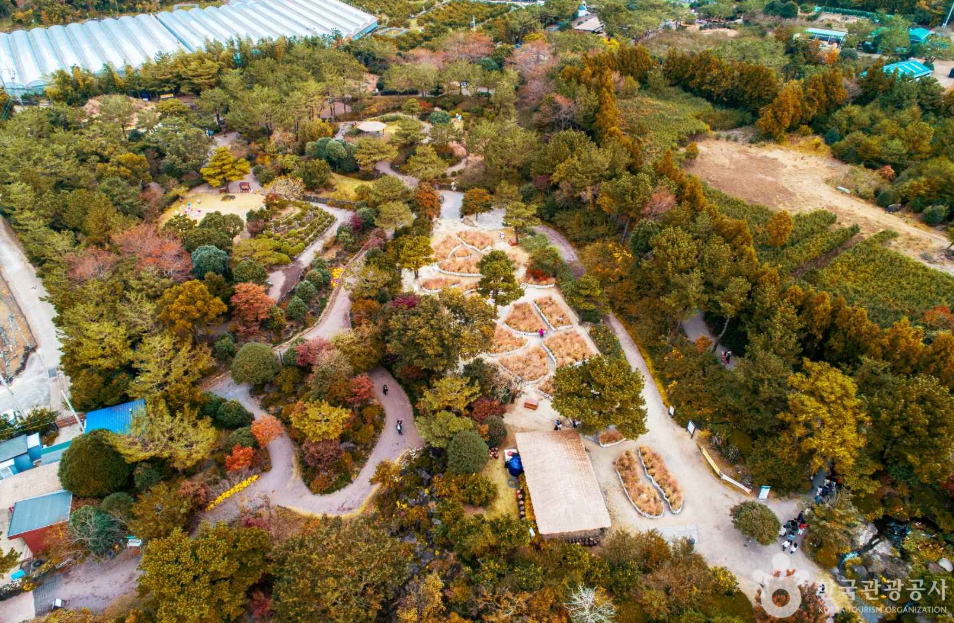 2월 제주도 여행지 추천 휴애리