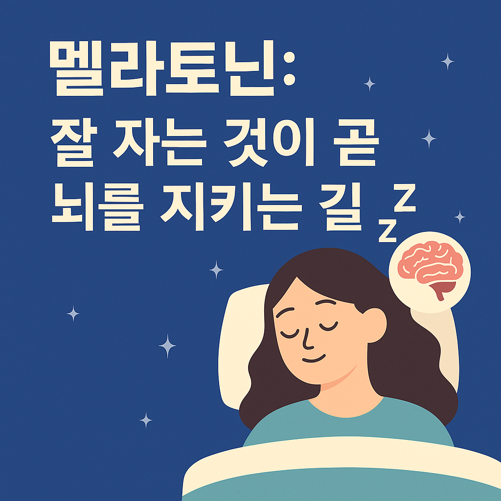 멜라토닌: 잘 자는 것이 곧 뇌를 지키는 길