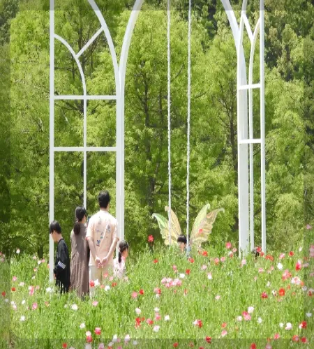 함평 나비축제_1