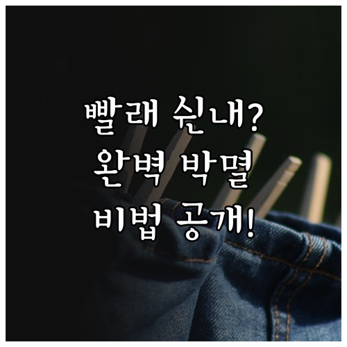 실내 건조 꿉꿉한 냄새 제거법 및 효..