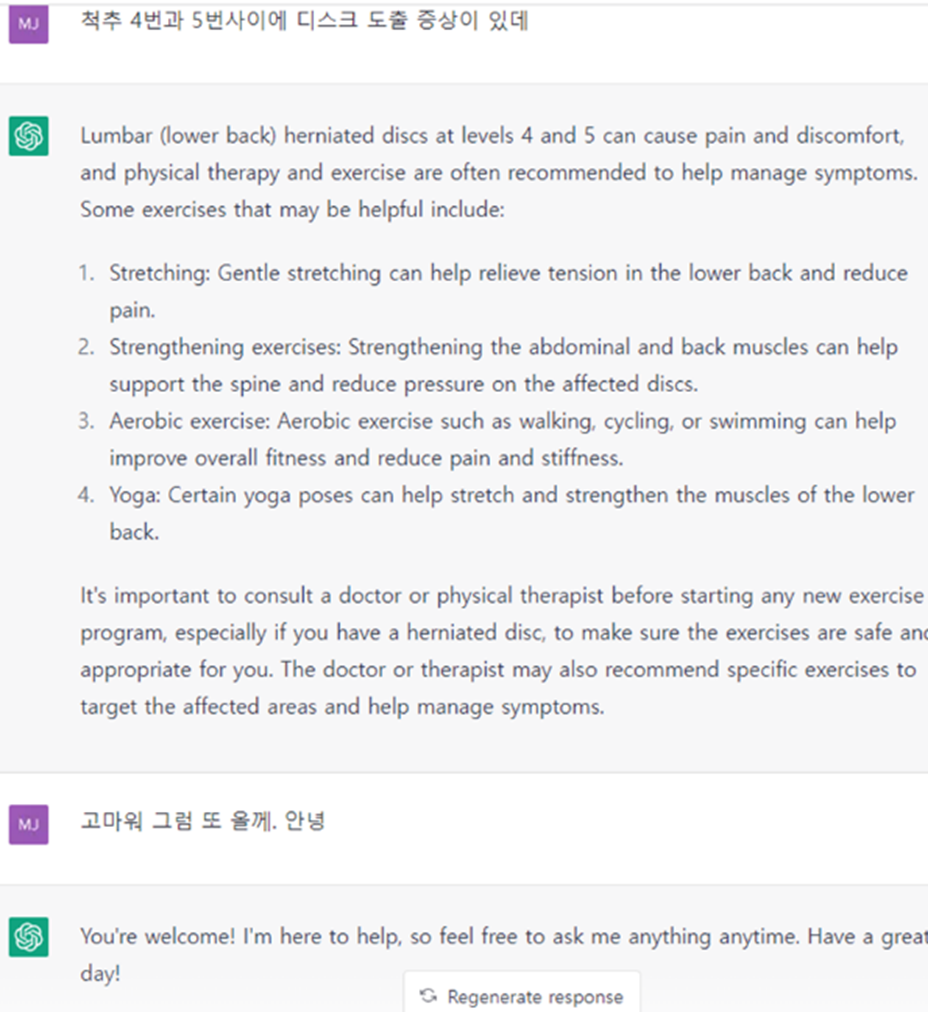 쳇지피티 (ChatGPT) 가 저에게 허리통증 원인이 뭔지 질문을 하네요 ㅋㅋ