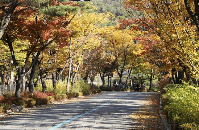 단풍 명소
