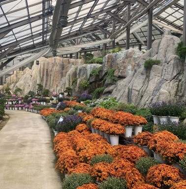 화담숲 가을 단풍축제