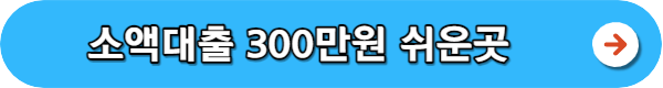 소액대출