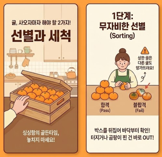 귤보관법