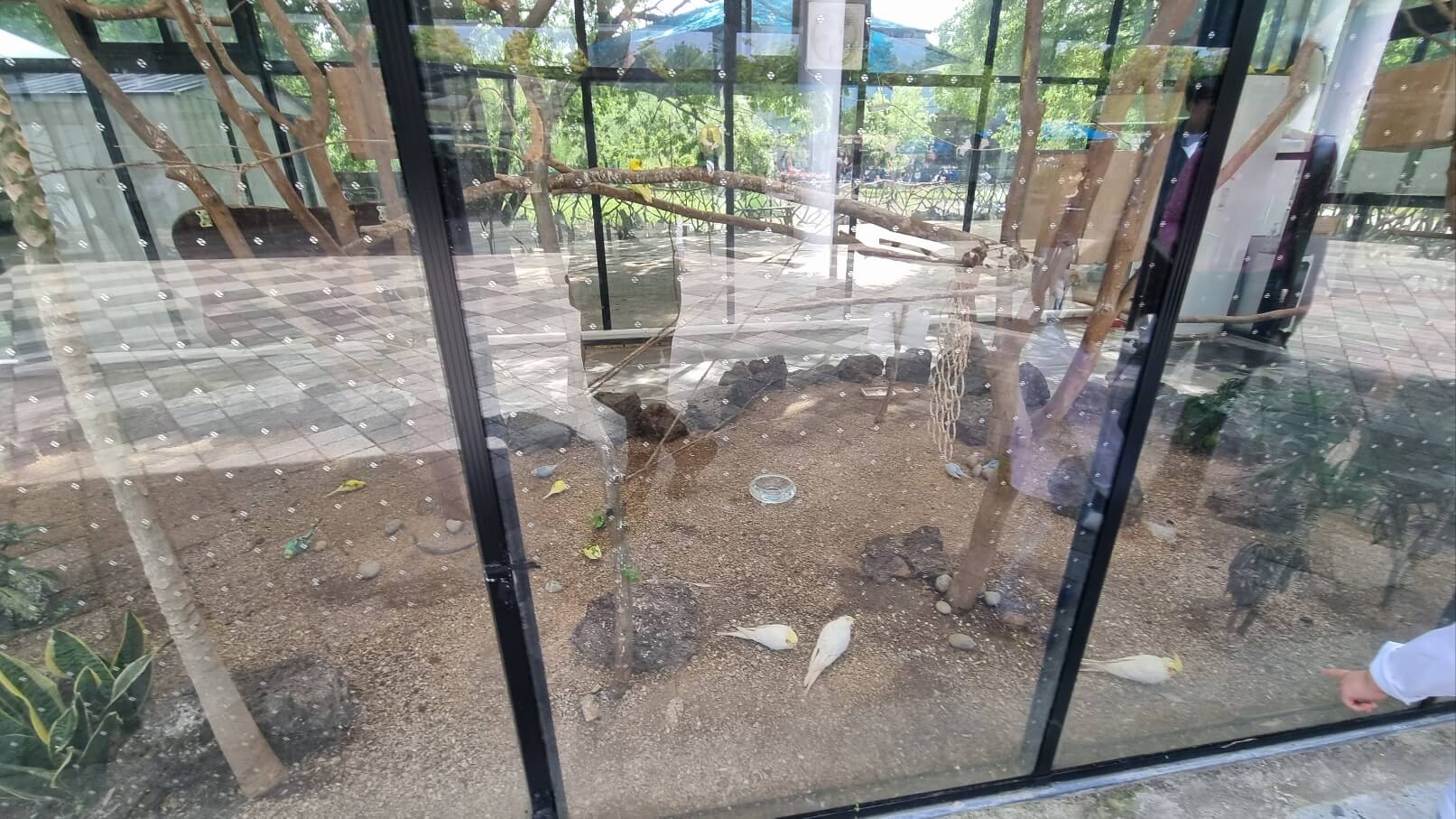 순천만국가정원 서문 동물원