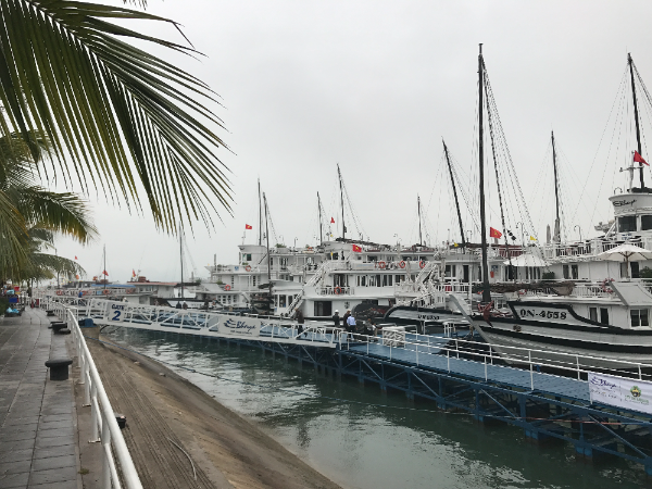 하롱베이 선창작