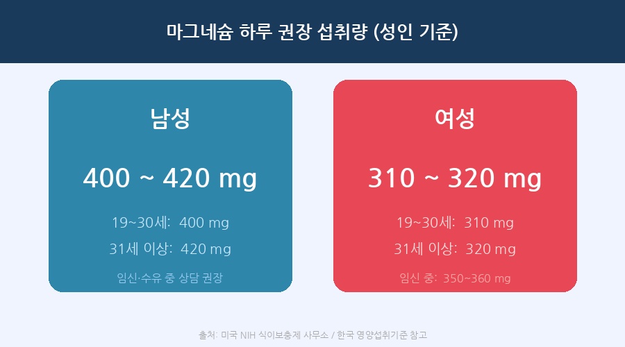 마그네슘-하루-권장-섭취량