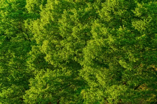 회문산 자연휴양림 예약