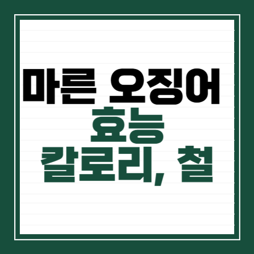 마른오징어 효능, 칼로리, 오징어 철