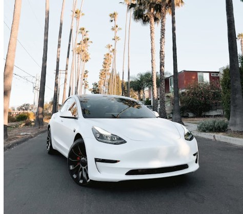 국산 소형 전기차 비교