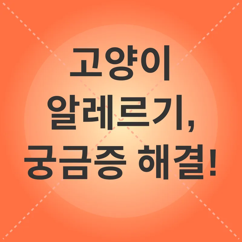 고양이 알레르기 관리_4