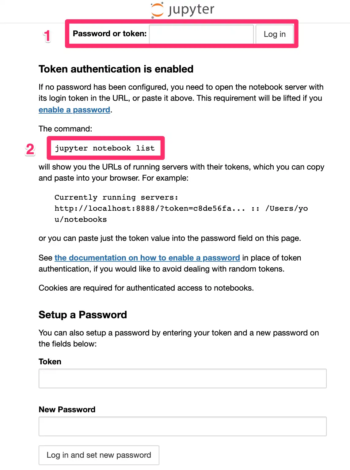 주피터 토큰 패스워드 문제 해결
