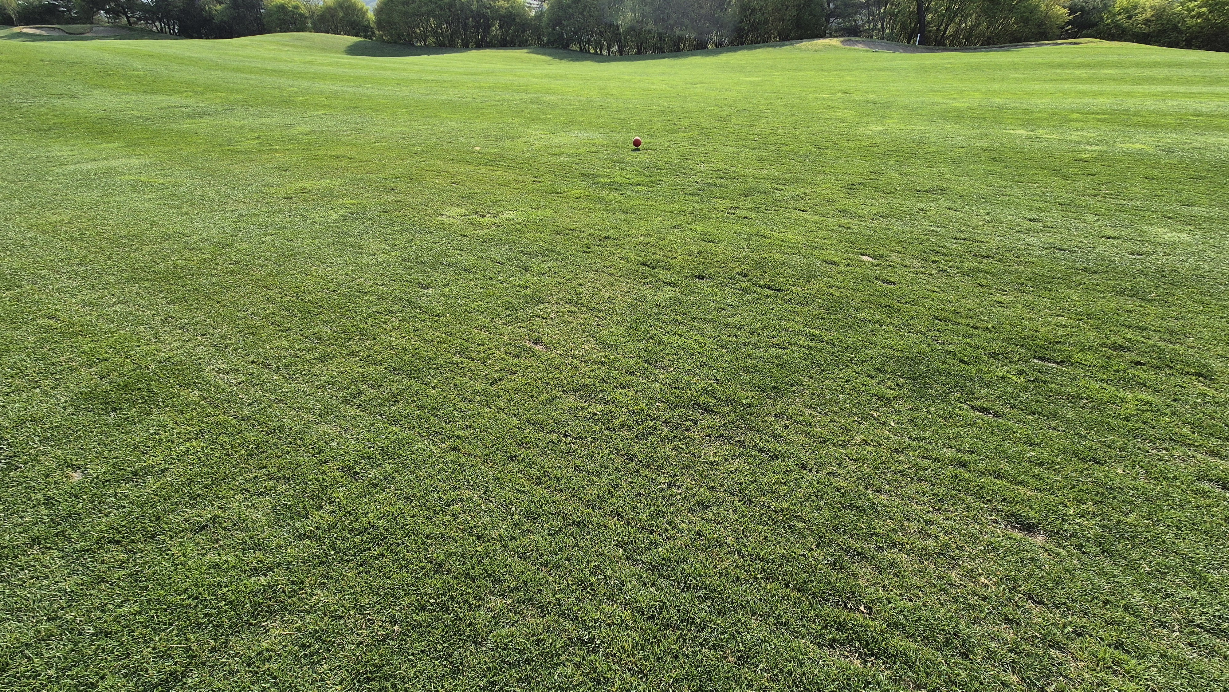 소노펠리체cc 비발디파크 웨스트