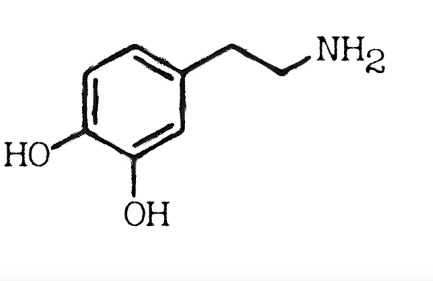 도파밍(Dopaming): 현대 사회에서의 도파민의 역할과 영향
