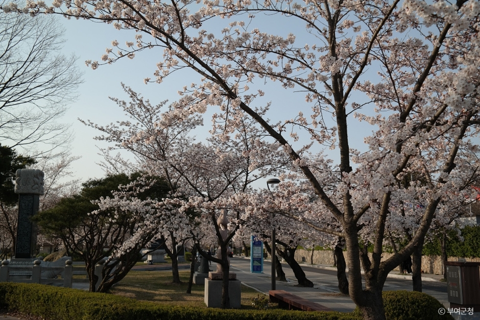 부여 가볼만한곳 베스트10