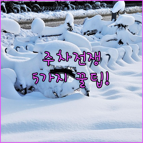 벤틀리역 주차 전쟁 종결 5가지 꿀팁..