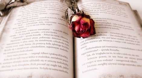 자신이 먼저 그 책이 되어야 한다.