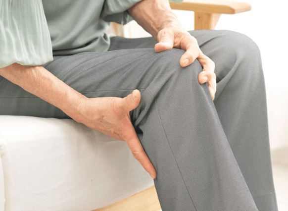 콘드로이친효능