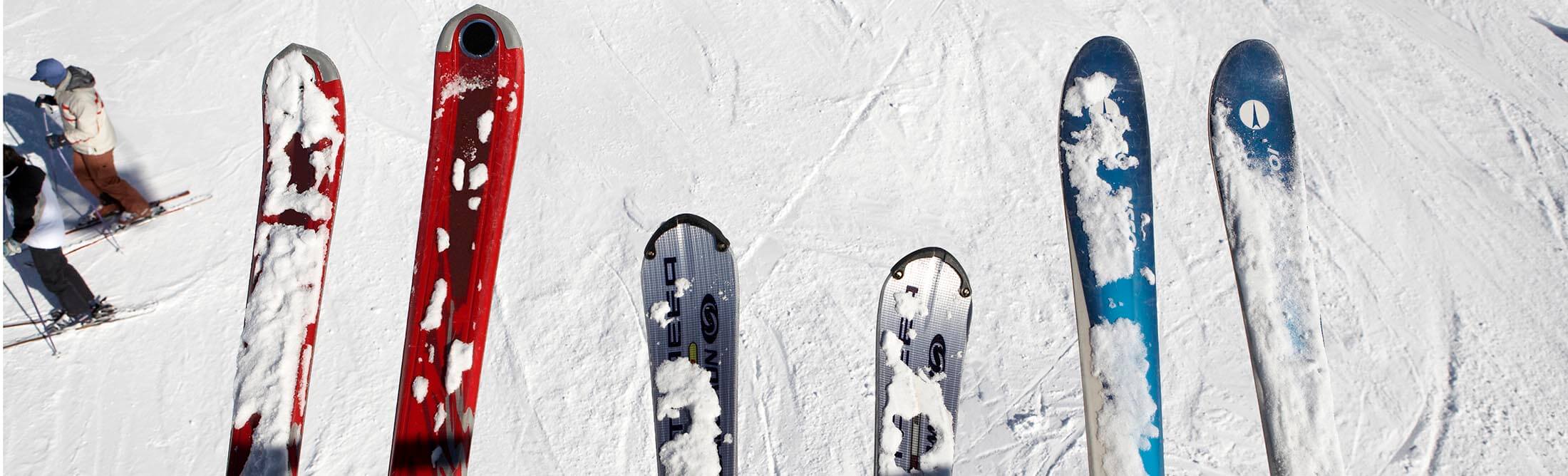 스키플레이트추천