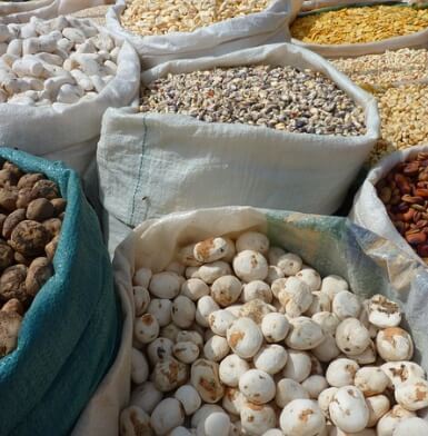 감자 심는 시기&amp;#44; 지역별 심는 시기