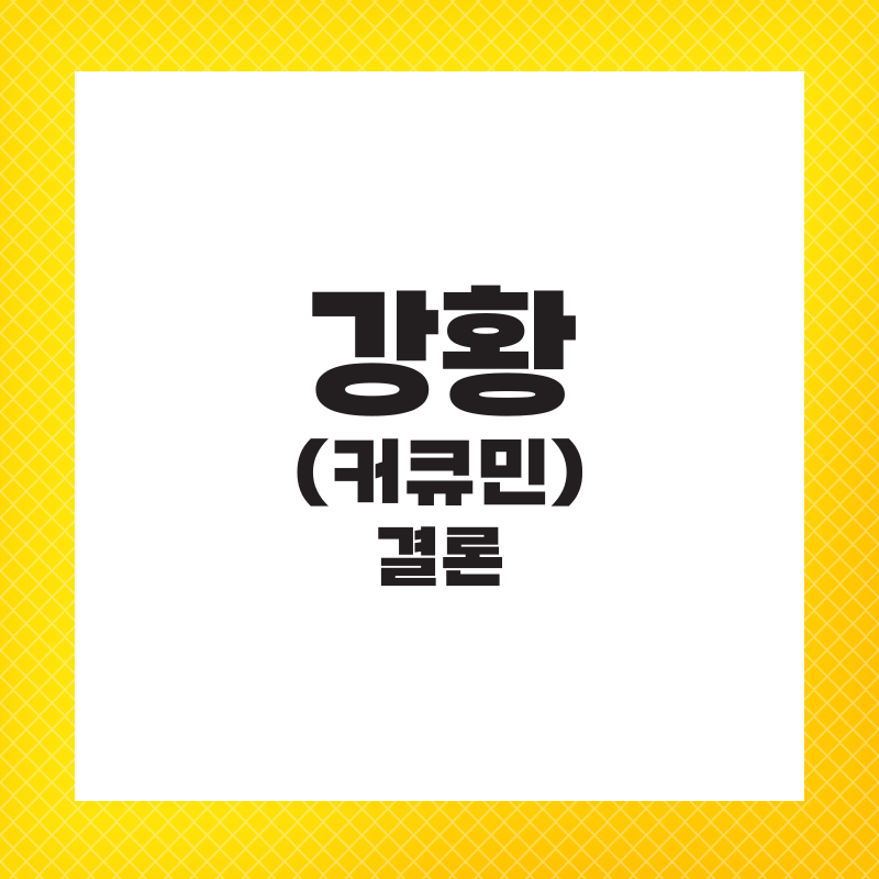 강황가루 효능 먹는법 영양제 추천 주의사항