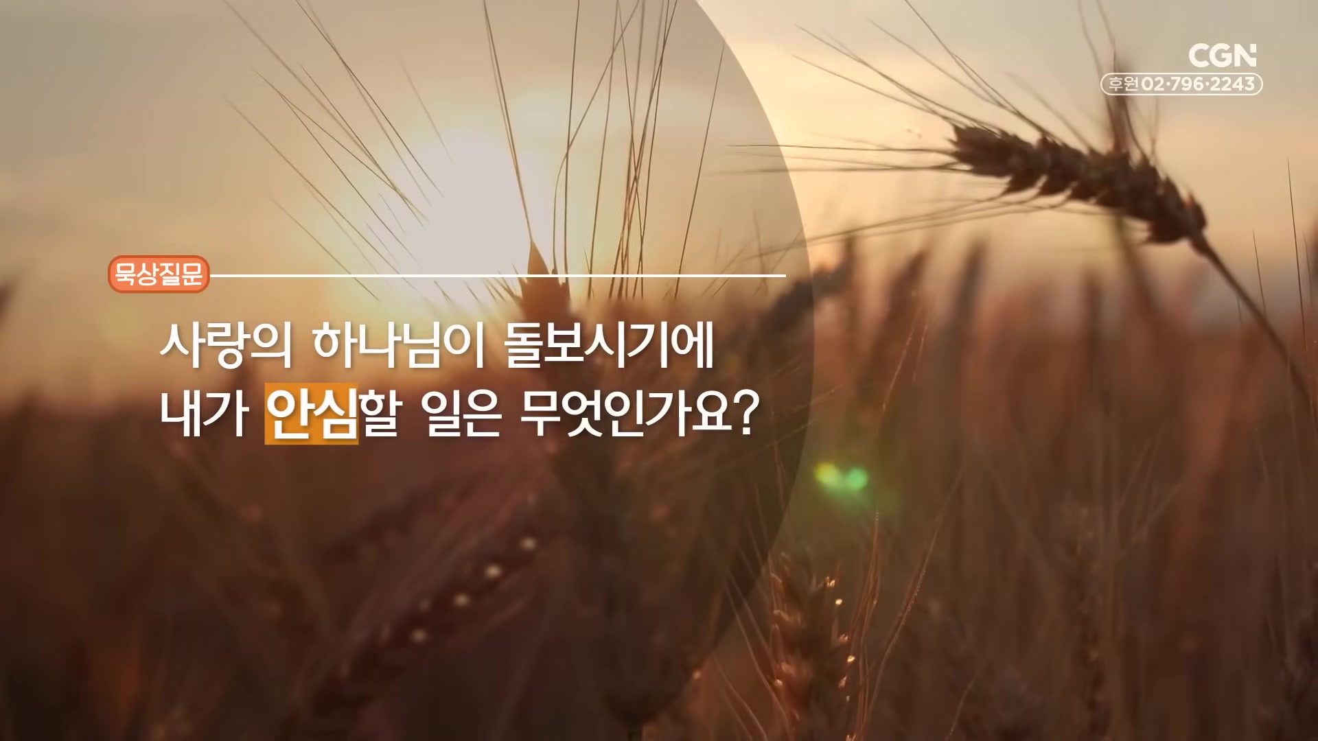 사랑의 하나님이 돌보시기에 내가 안심할 일은 무엇인가요?