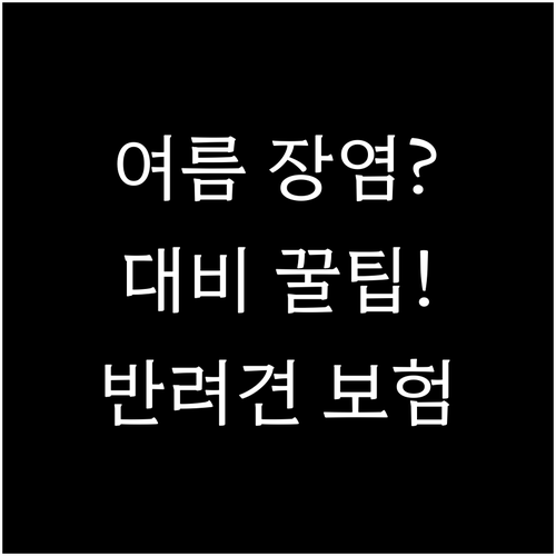여름 장염 대비 반려견 보험 가입 팁..