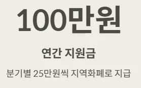 경기도 청년기본소득 연간 지원금 규모