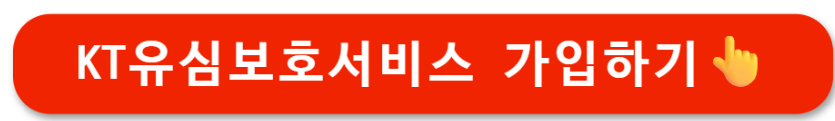 KT 유심보호서비스