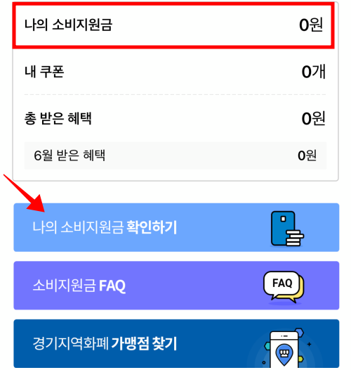 경기지역화폐-소비지원금