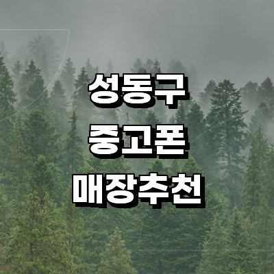 서울 성동구 중고폰