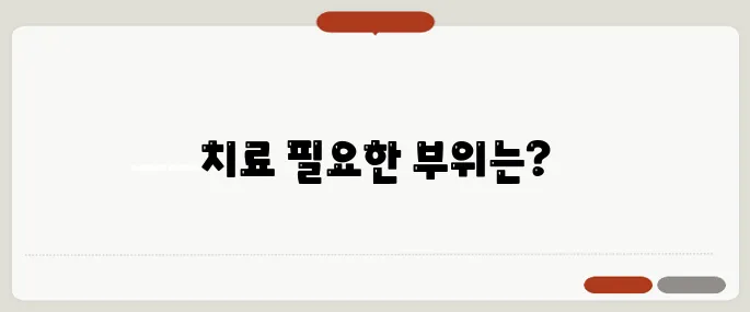 정형외과 진료 과목 허리·무릎 어디로 가야 할까