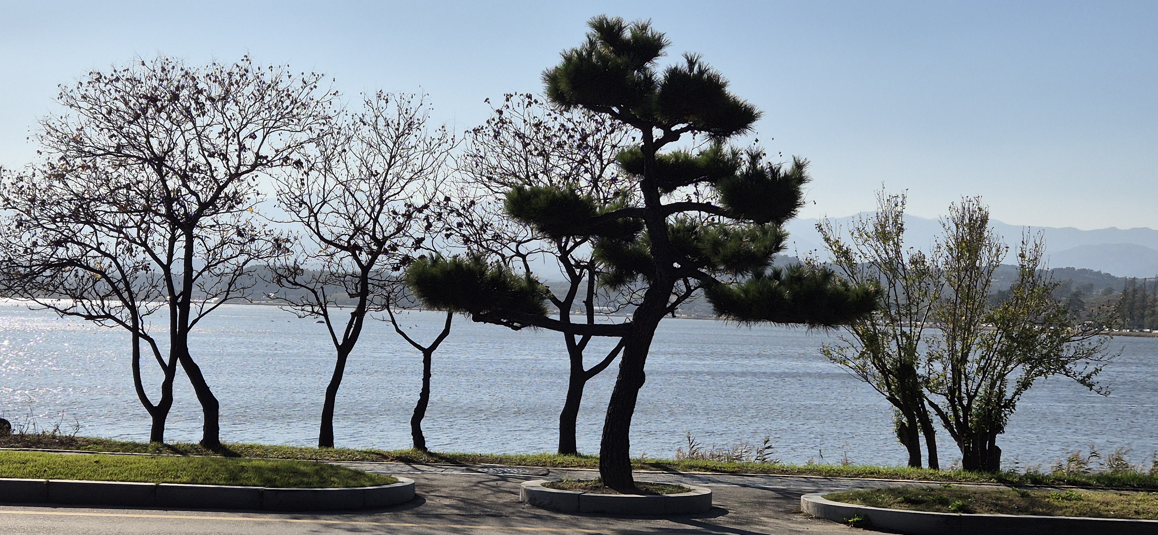 강릉 가볼만한 곳 베스트 10