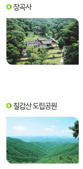 칠갑산 얼음분수 축제 입장료 및 야간개장을 진행하고 있습니다.