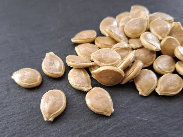 식물성 단백질 호박씨