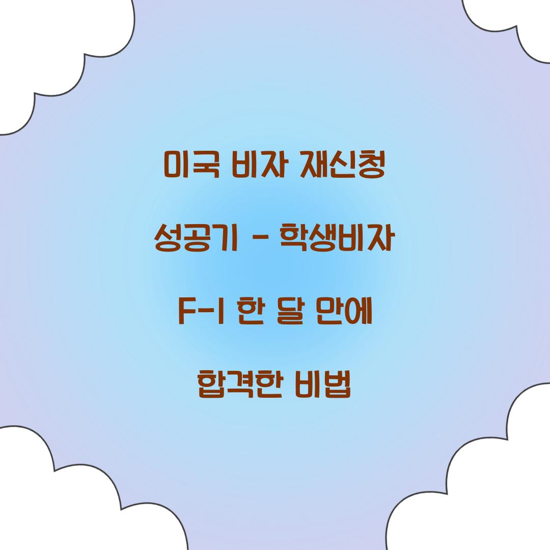 미국 비자 재신청