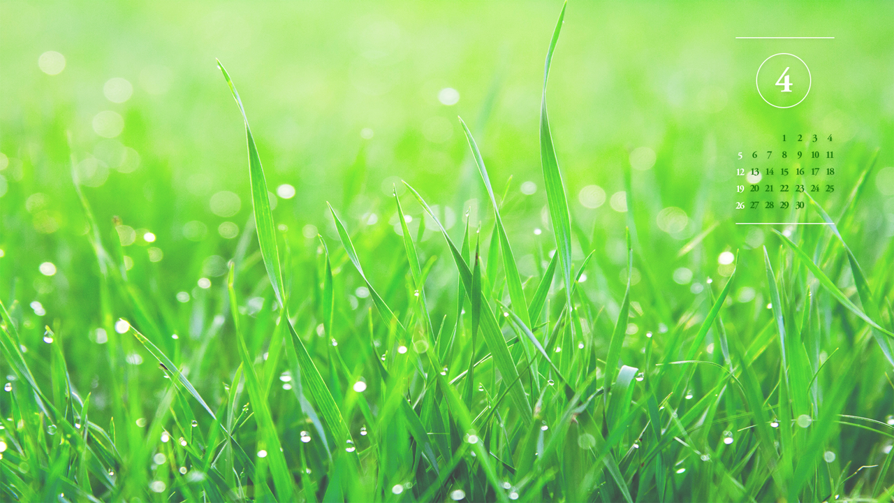 02 풀밭에 내리는 봄비 A - 2026년4월 달력배경화면