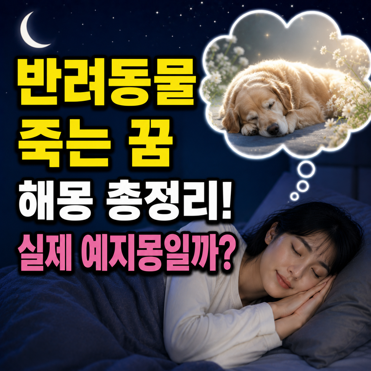 반려동물 죽는 꿈