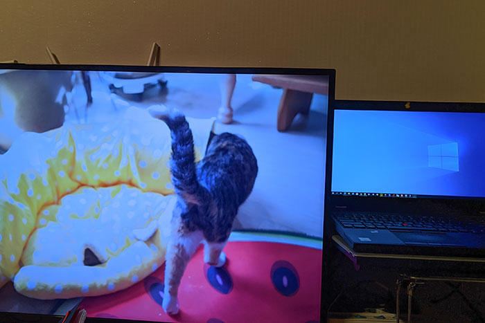 다중 디스플레이 화면 보호기