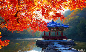 아이와 가을여행