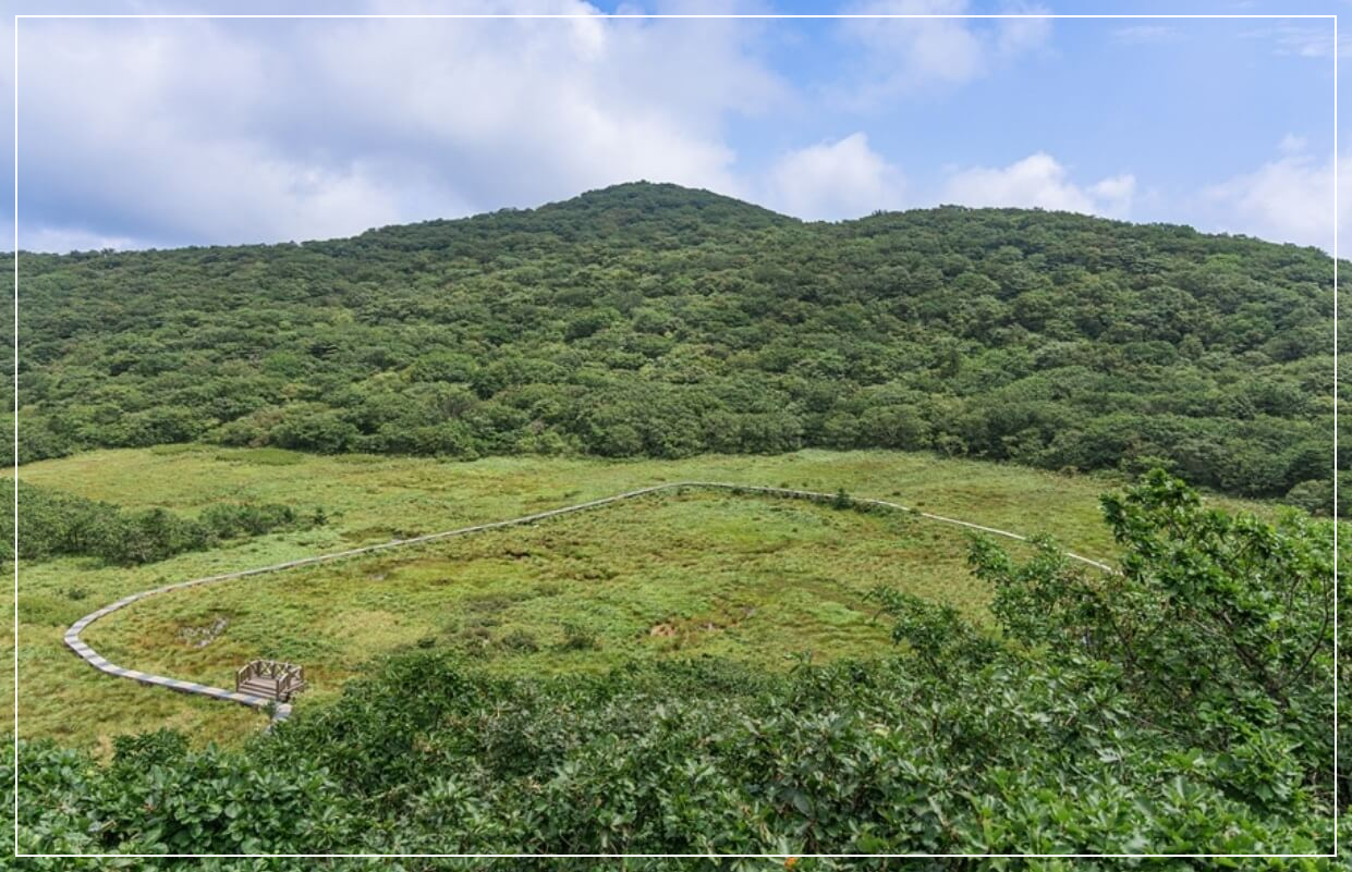 인제 가볼만한곳 베스트10 대암산 용늪