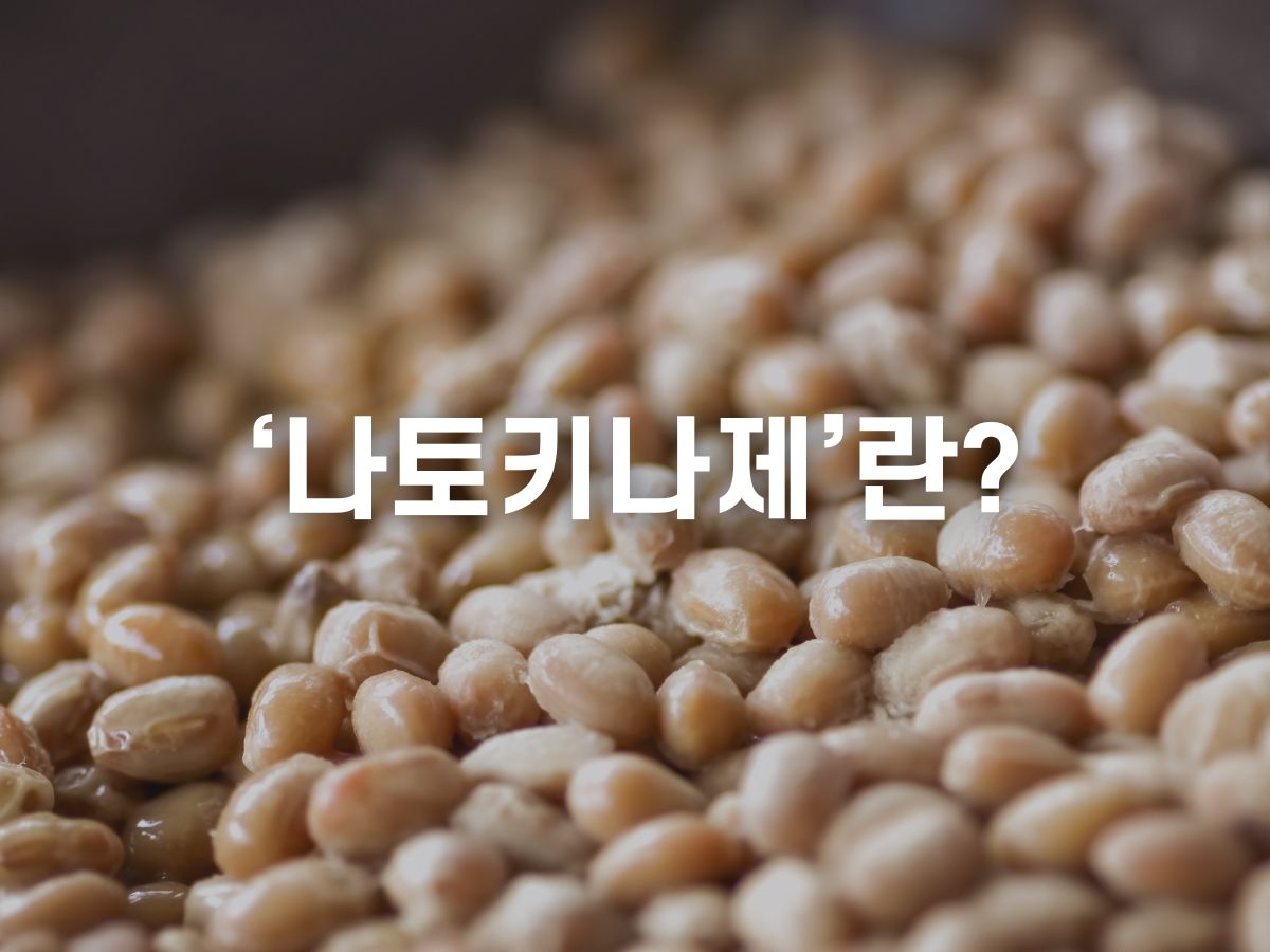 나토키나제란