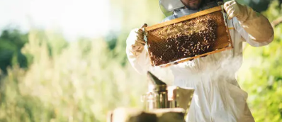 로열젤리 효능&amp;#44; 성분&amp;#44; 복용법 총 정리 (2025 최신)