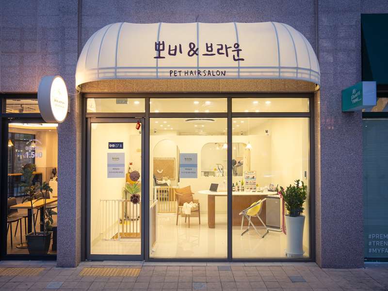 4. 뽀비브라운 소개