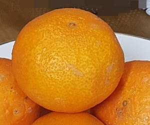 황금향 효능 황금향 제철시기