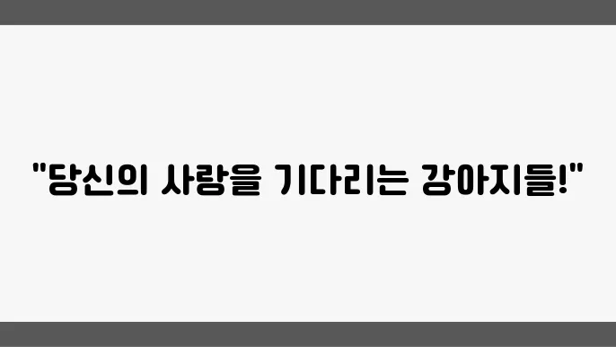 유기견보호소 귀엽고 사랑스러운 함평유기견보호소