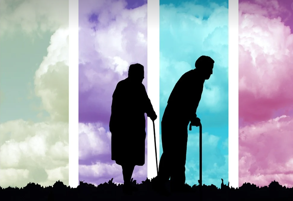 어르신 이미지 사진