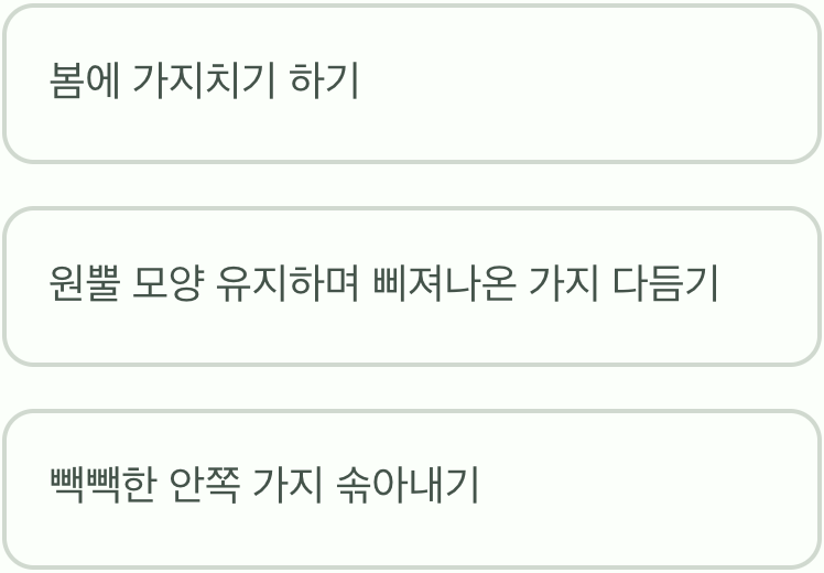 깔끔한 수형을 위한 즐거운 가위질